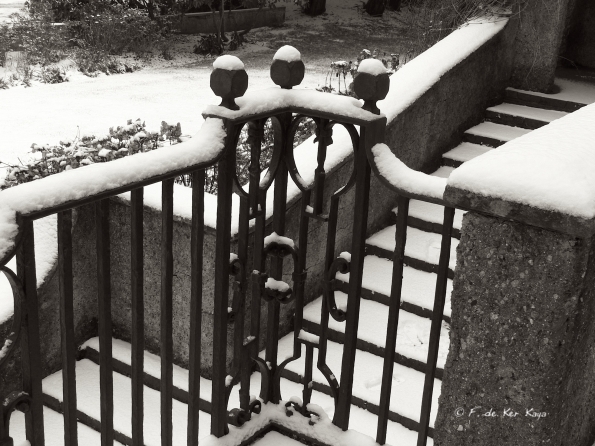 Bois des Moutiers Winterreise (23)